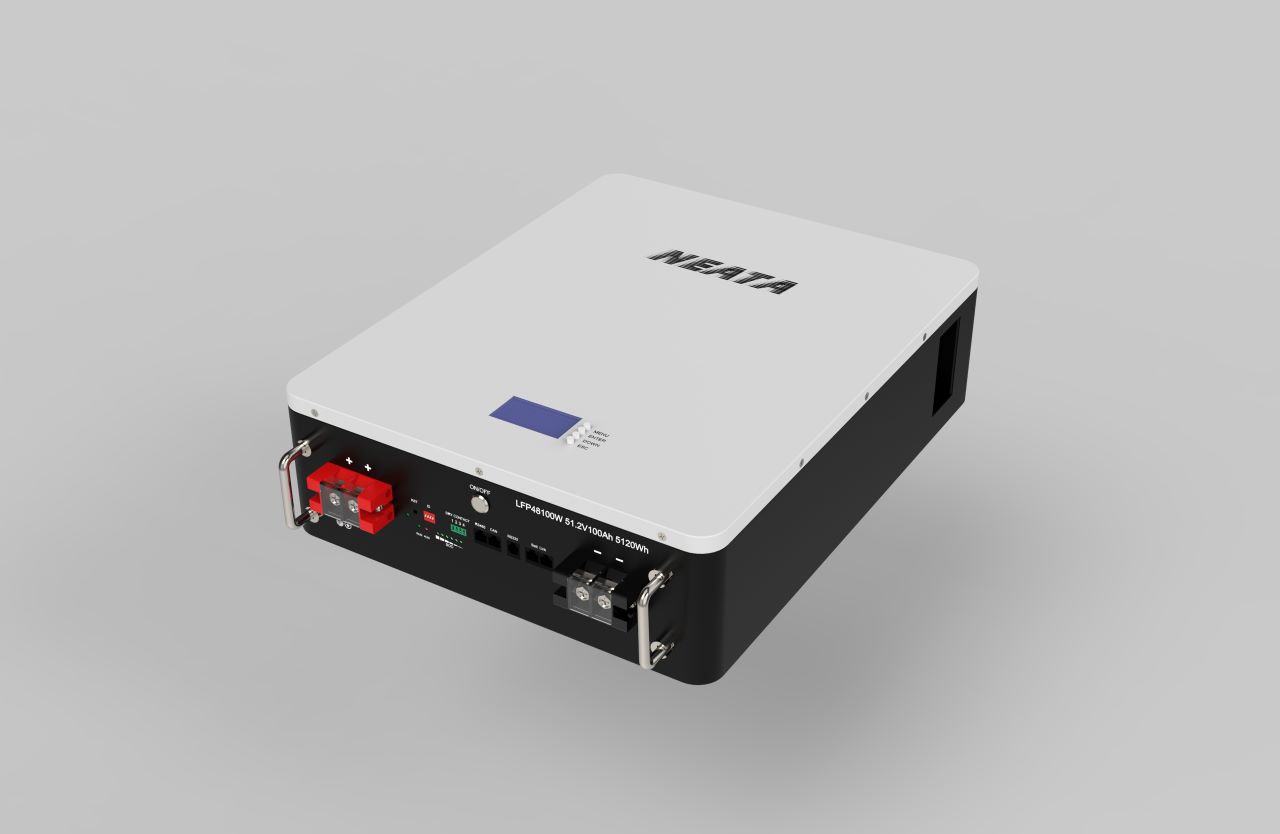 LFP51.2V100Ah Wall Mounted NEATA